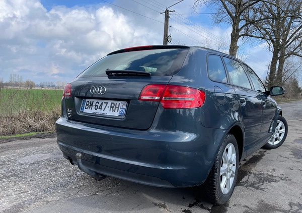 Audi A3 cena 21900 przebieg: 248000, rok produkcji 2011 z Chojnów małe 436